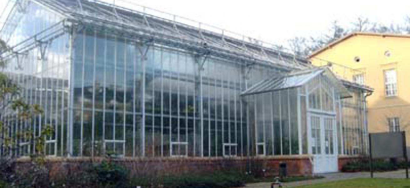Botanischer Garten Der Universitat Potsdam Wis