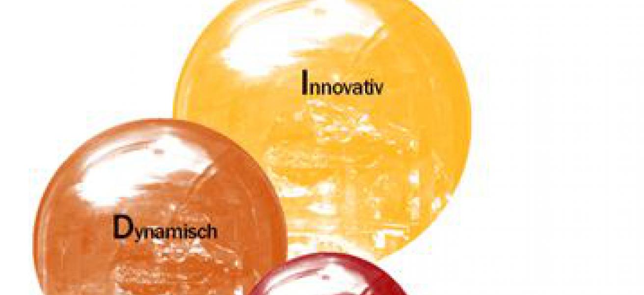 IDM Institut für Dünnschichttechnologie und Mikrosensorik e.V.
