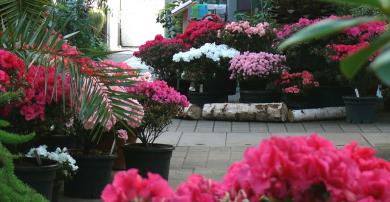 Botanischer Garten Christiansberg Ueckermunde Ostsee De