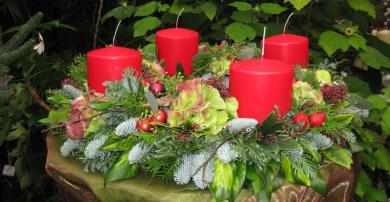Der Botanische Garten Im Advent Wis Wissenschaftsetage Im